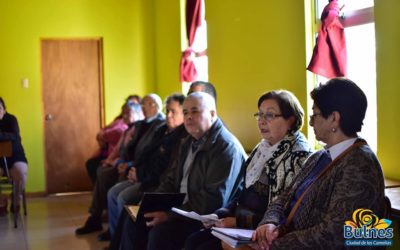 Programa Quiero Mi Barrio comenzaría en Bulnes desde septiembre