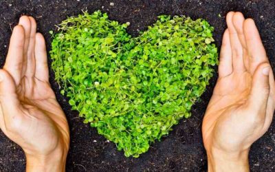 ¿Por qué es importante reciclar?