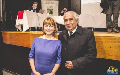 Comisión de la Unión Europea Bulnes