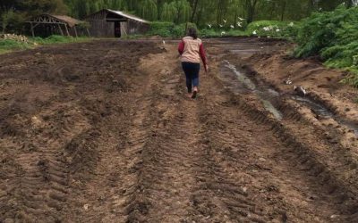 Vecinos de El Nogal denunciaron vertido de riles porcinos en camino vecinal