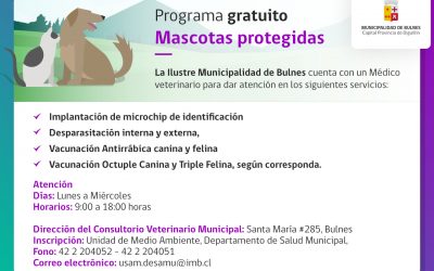 Programa gratuito “Mascotas protegidas”