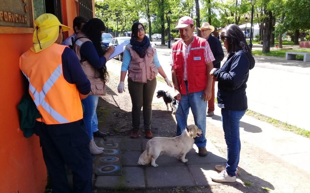 Comenzó en Bulnes campaña para controlar y erradicar las garrapatas