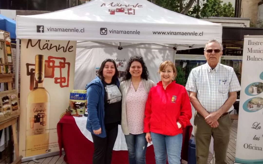 Resaltan bondades de Bulnes en Feria Regional realizada en Chillán