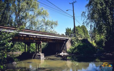 Realizarán trabajos mayores para reparar el puente Gallipavo