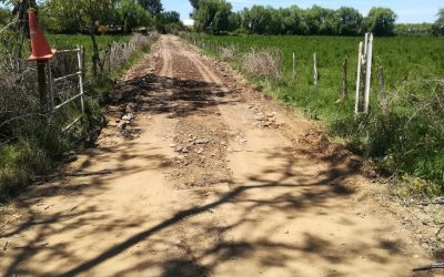Importantes mejoras ejecutan en camino rural del sector Larqui Poniente