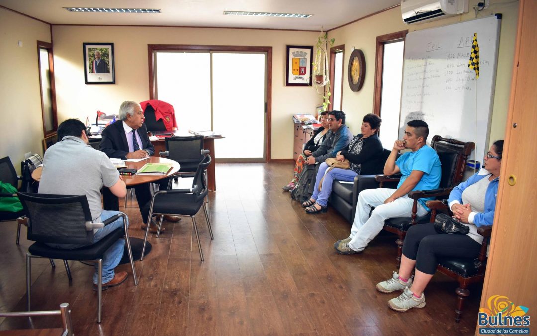 Alcalde y jefe de Dideco apoyan a un grupo de familias de Bulnes