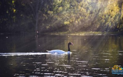 Bulnes espera habilitar gran balneario municipal en Santa Clara