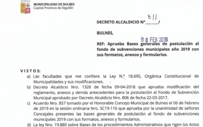 Bases Subvenciones Municipales año 2019