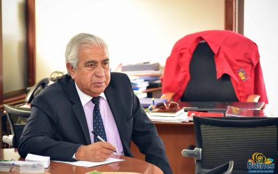 Bulnes mantendrán Educación Física e Historia como obligatorias