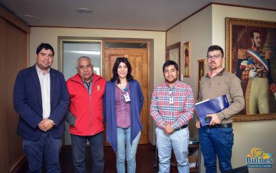 Cambio de luminarias es el primer gran proyecto de Quiero Mi Barrio en Bulnes