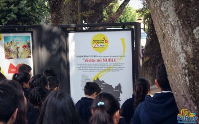 Diversos establecimientos educacionales contemplan la exposición “visito mi ñuble” en la plaza de armas de bulnes