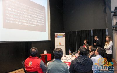 SEREMI de las culturas, Las Artes y el Patrimonio y la Ilustre Municipalidad de Bulnes inician proceso para realizar Arte colaborativo en la comuna