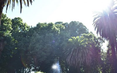 Resultados del proceso de selección SECPLAN