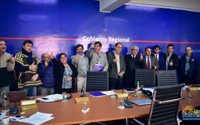 Millonarios proyectos para Bulnes aprueba el Gobierno Regional