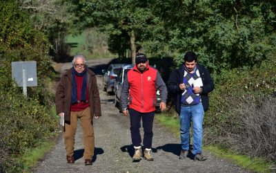 Municipalidad de Bulnes ejecutará obra para reparar puente “El Ranchito”