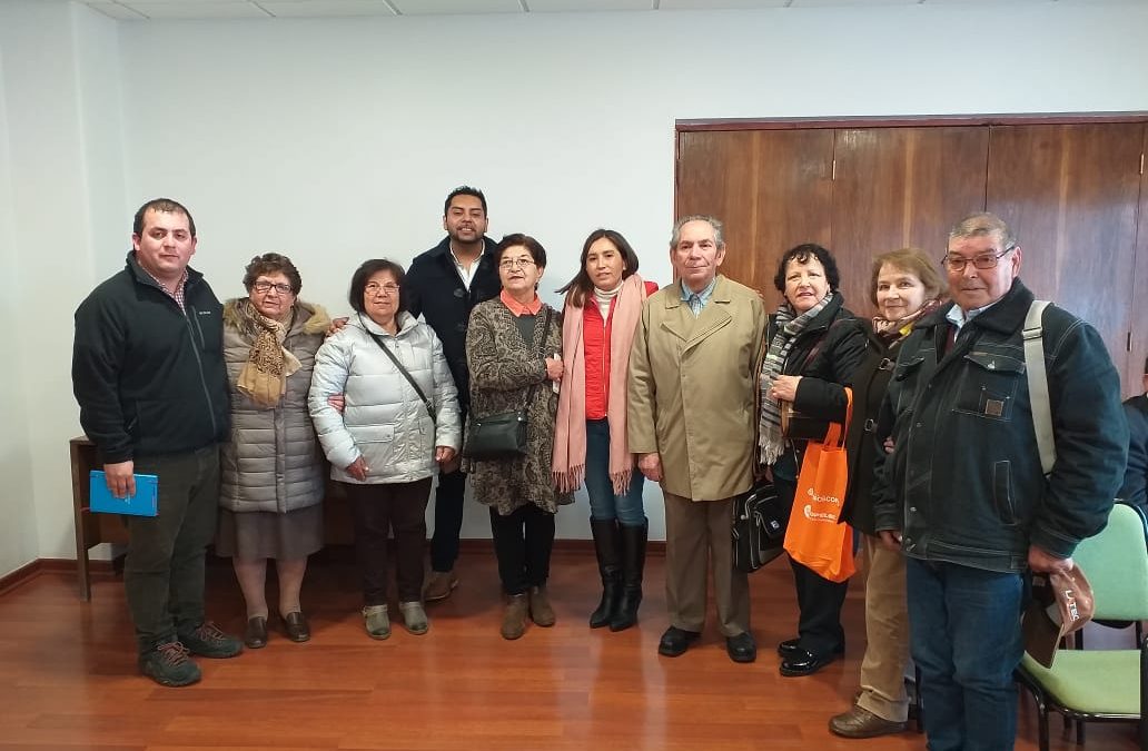 Adultos Mayores de Bulnes obtienen importantes logros del municipio y Senama