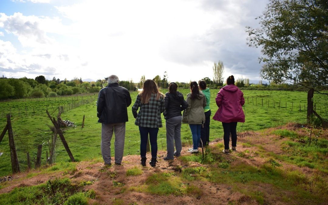 1400 viviendas planifican en Bulnes para tres grandes sectores urbanos