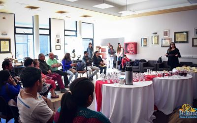 Privados confirman boom inmobiliario en Bulnes con proyecto de 200 casas