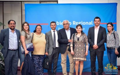 Gobierno Regional aprobó dos importantes proyectos para Bulnes