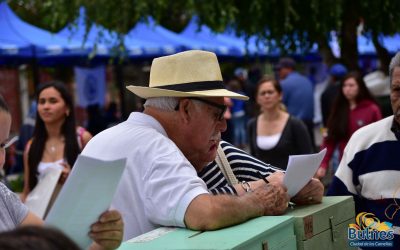 Gran demanda por ser parte de la consulta ciudadana en Bulnes