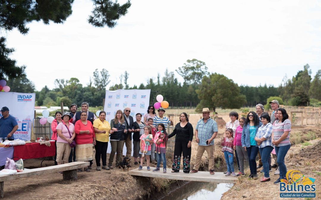 Municipio e Indap aseguran riego para sector rural de El Faro con aguas del Laja Diguillín