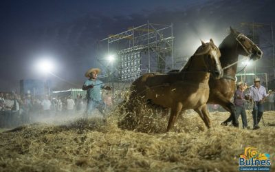 Rotundo éxito de la Fiesta de la Trilla a Yegua Suelta en la Capital de Diguillín