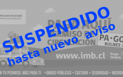 Proceso de Pago Por Internet de Permisos Circulación Suspendido Temporalmente