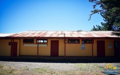 Corte de Apelaciones rechaza recurso que acusaba privación de estudios hacia un alumno de escuela clausurada