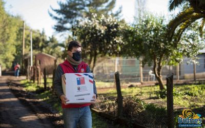 Sectores rurales de Bulnes reciben alimentos por parte de equipos municipales