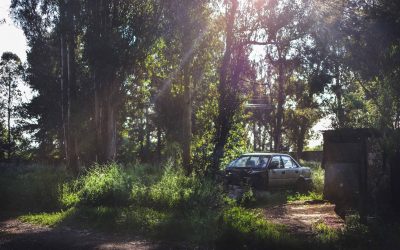 Municipio recibe fondos para realizar estudios de suelos y erradicar dos campamentos