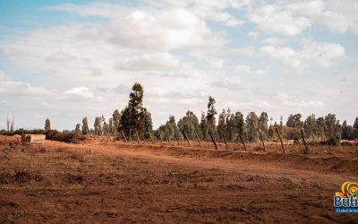 Grandes avances registra canal que regará 270 hectáreas de agricultores de Bulnes