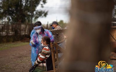 Redoblan vigilancia epidemiológica en la comuna de Bulnes