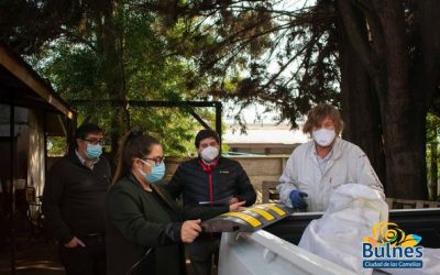 84 sectores de la comuna serán favorecidos con Lomos de Toro pedidos por la comunidad