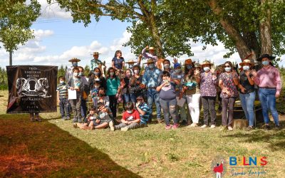 Equinoterapia: mejorando la calidad de vida de nuestros niños y niñas