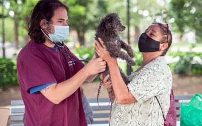 Exitoso operativo de “Mascotas Protegidas” se realizó hoy en nuestra Plaza de Armas